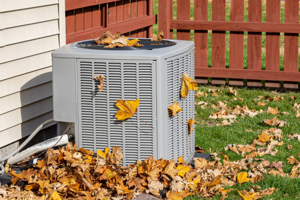 Best Affordable HVAC services  in Willcox, AZ